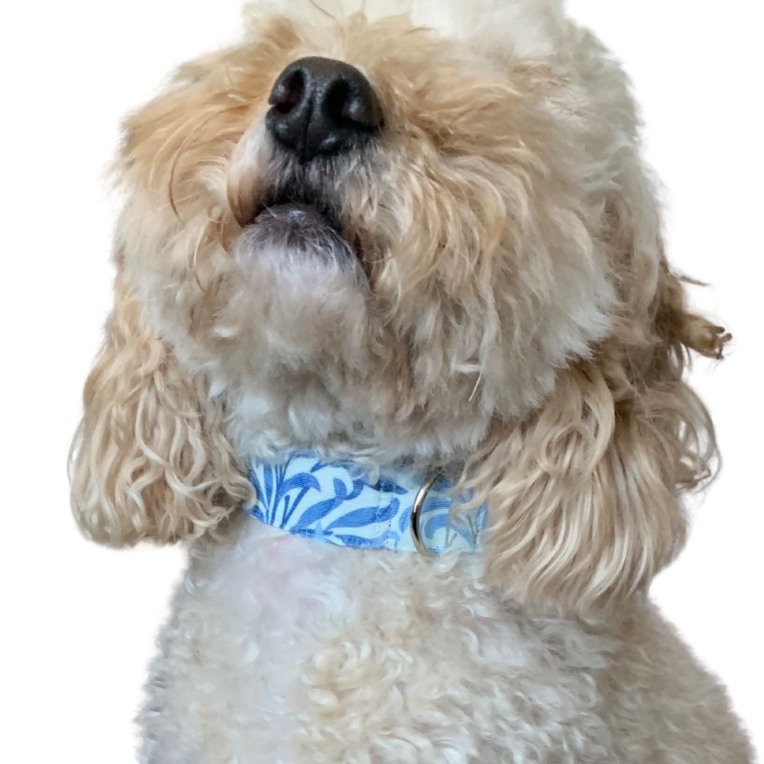 Handmade dog collar by Pawdrobe HQ featuring William Morris's willow bough seabreeze design