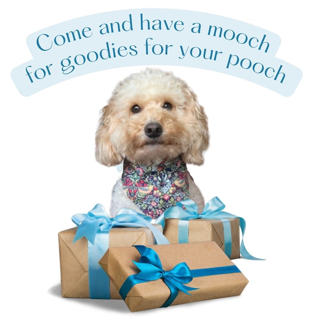 Freddie a cockerpoo is sitting behind three gift wrapped parcels.  He is wearing a Pawdrobe HQ handmade bandana in navy Strawberry Thief  William Morris cotton.  Above him are the words Come and have a mooch for goodies for your pooch