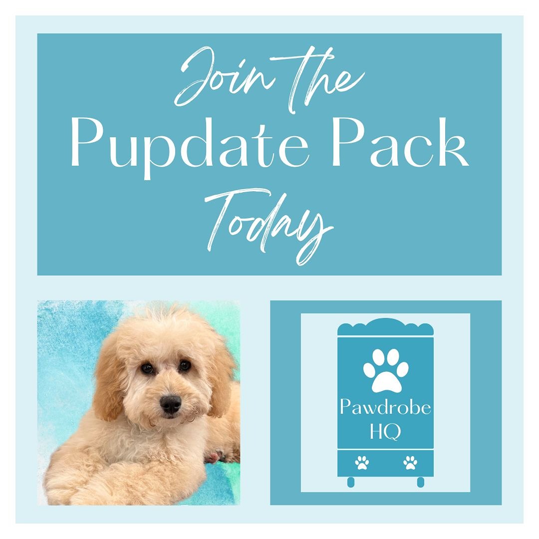 A picture split into four segments.  The bottom right shows Freddie a cockerpoo lying down and looking straight at the camera.  The top left  quadrant says Join the pupdate pack today.  The top right quadrant shows an illustration of a wardrobe with paw prints as the handles.  the bottom left quadrant shows an illustration of a single paw print