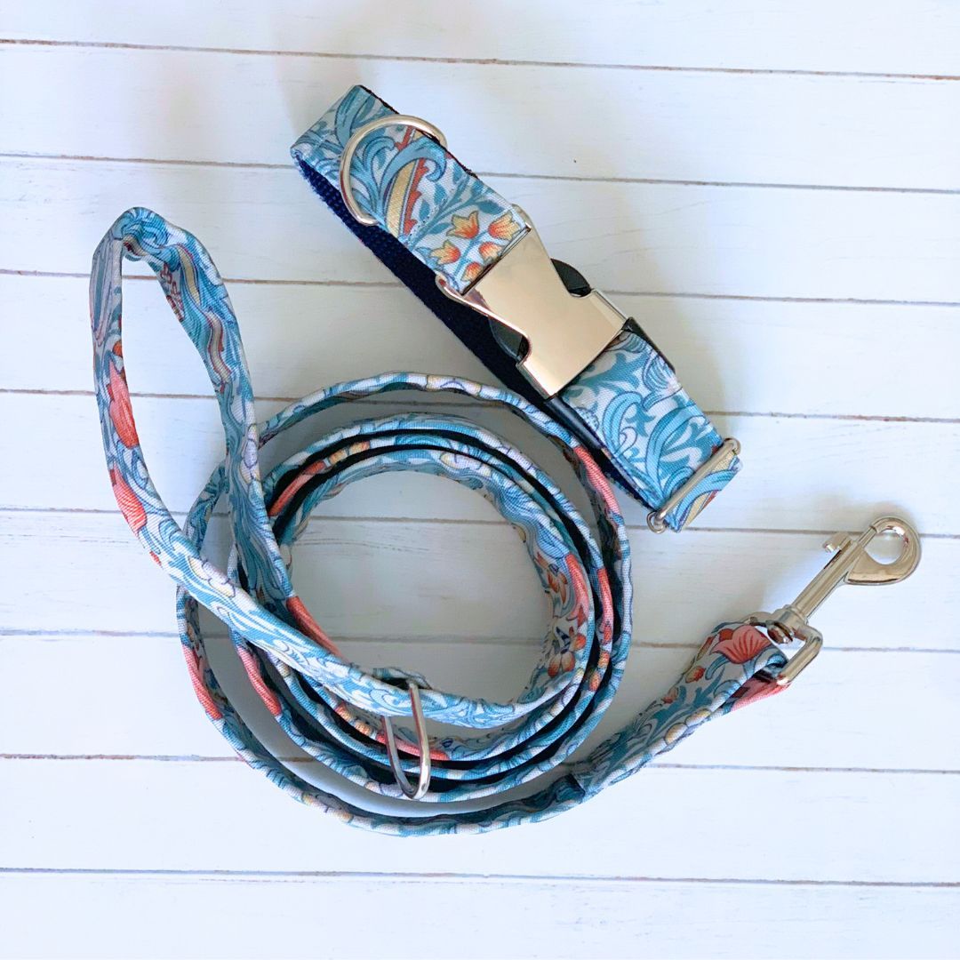 COLLAR & LEAD - Golden Lily, Cornflower Blue