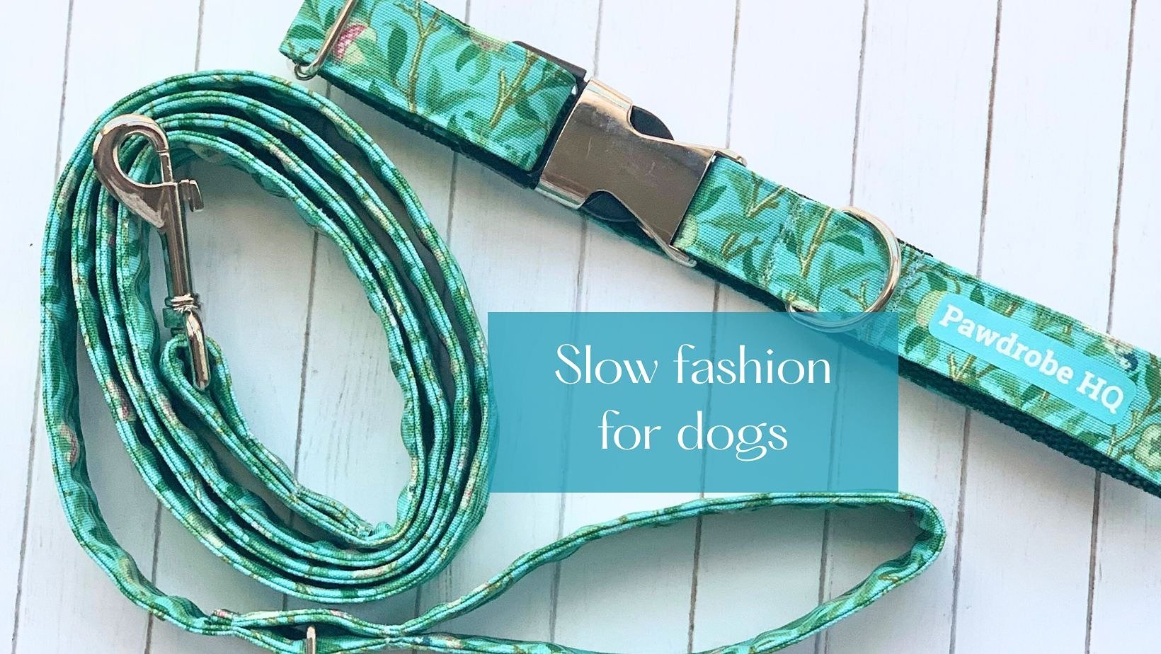slow fashion for dogs.jpg