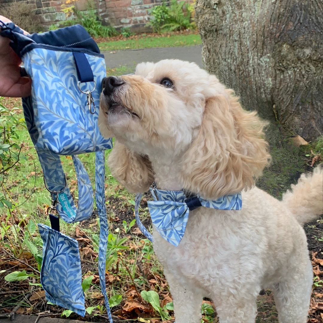 5 Piece Gift Set in William Morris "Willow Bough" design. (Colour - sea breeze)