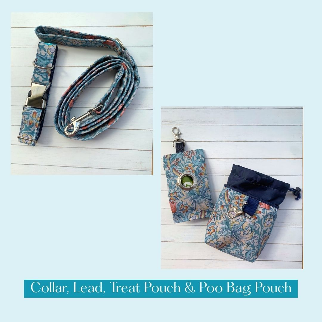 COLLAR, LEAD, POO BAG POUCH & TREAT POUCH - Golden Lily - Cornflower