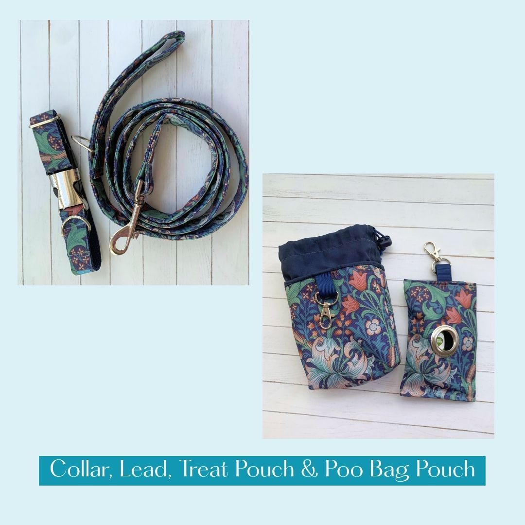COLLAR, LEAD, POO BAG POUCH & TREAT POUCH - Golden Lily - Midnight