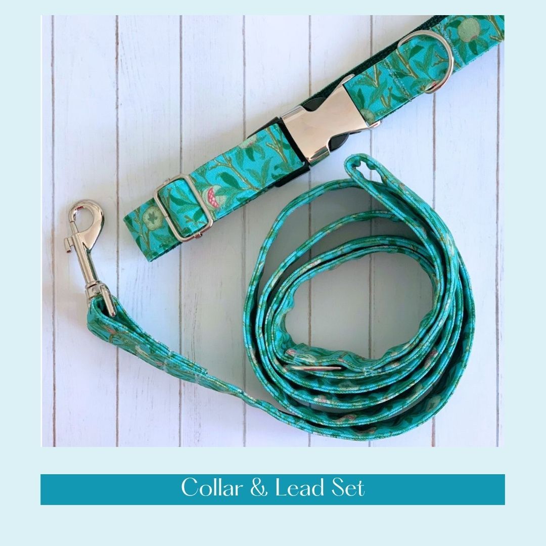 COLLAR & LEAD - Birds & Pomegranate, Duck Egg