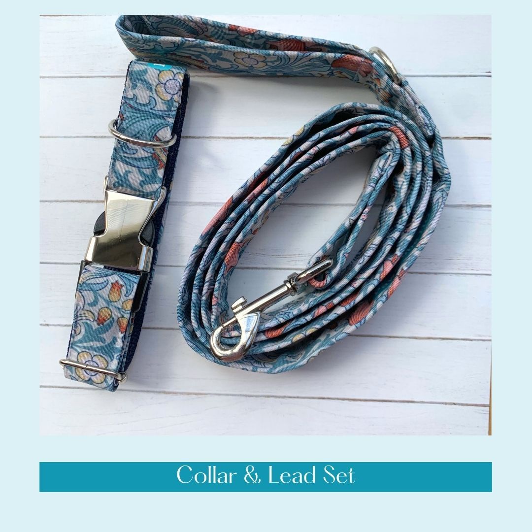 COLLAR & LEAD - Golden Lily, Cornflower Blue