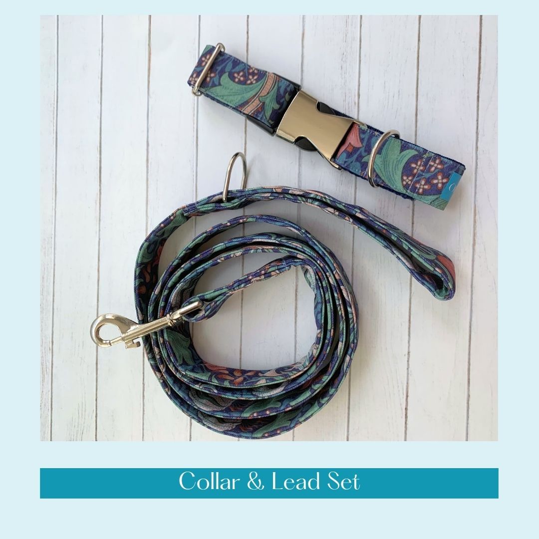 COLLAR & LEAD - Golden Lily, Midnight