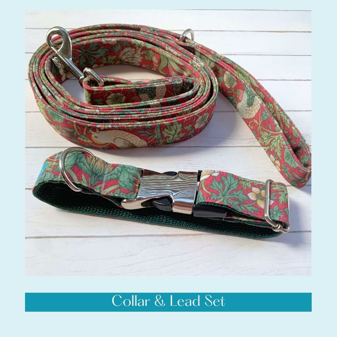 COLLAR & LEAD - Strawberry Thief, Crimson