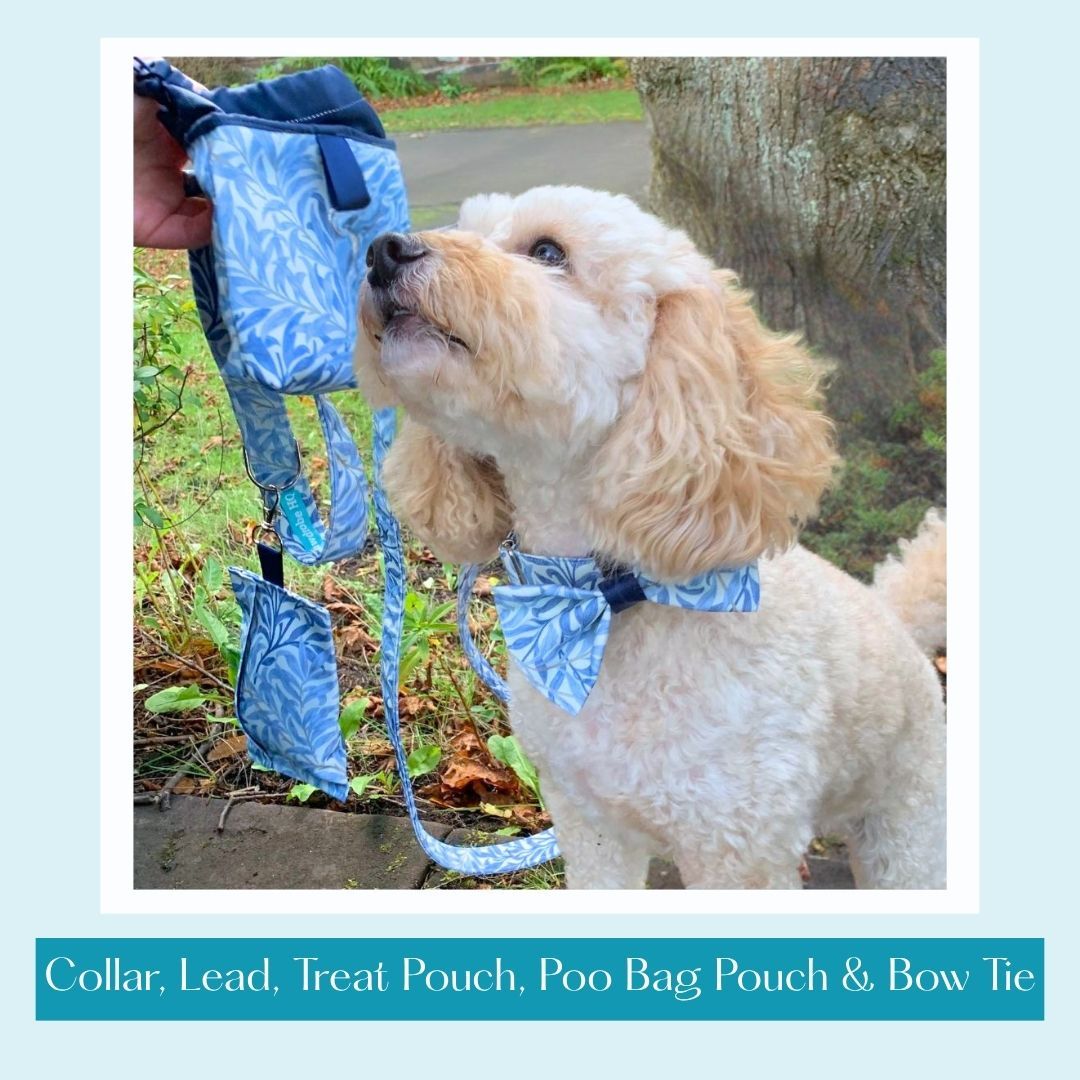 COMPLETE 5 PIECE SET - Willow Bough - Sea Breeze