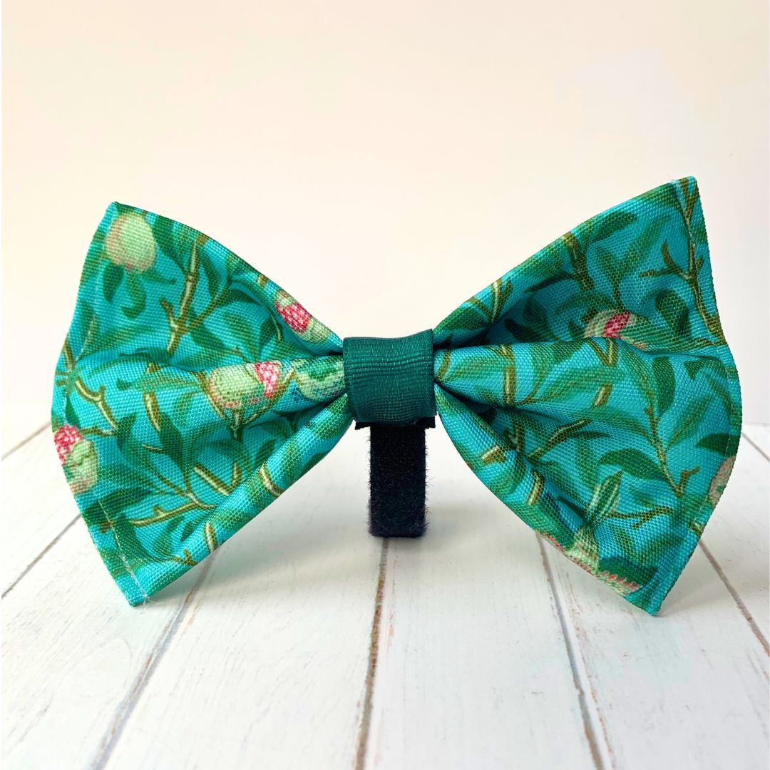 COLLAR, LEAD & BOW TIE - Bird & Pomegranate - Duck Egg