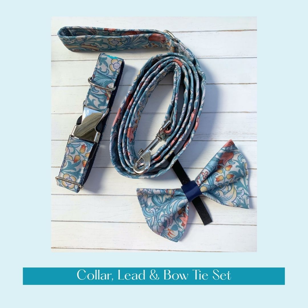 COLLAR, LEAD & BOW TIE - Golden Lily - Cornflower