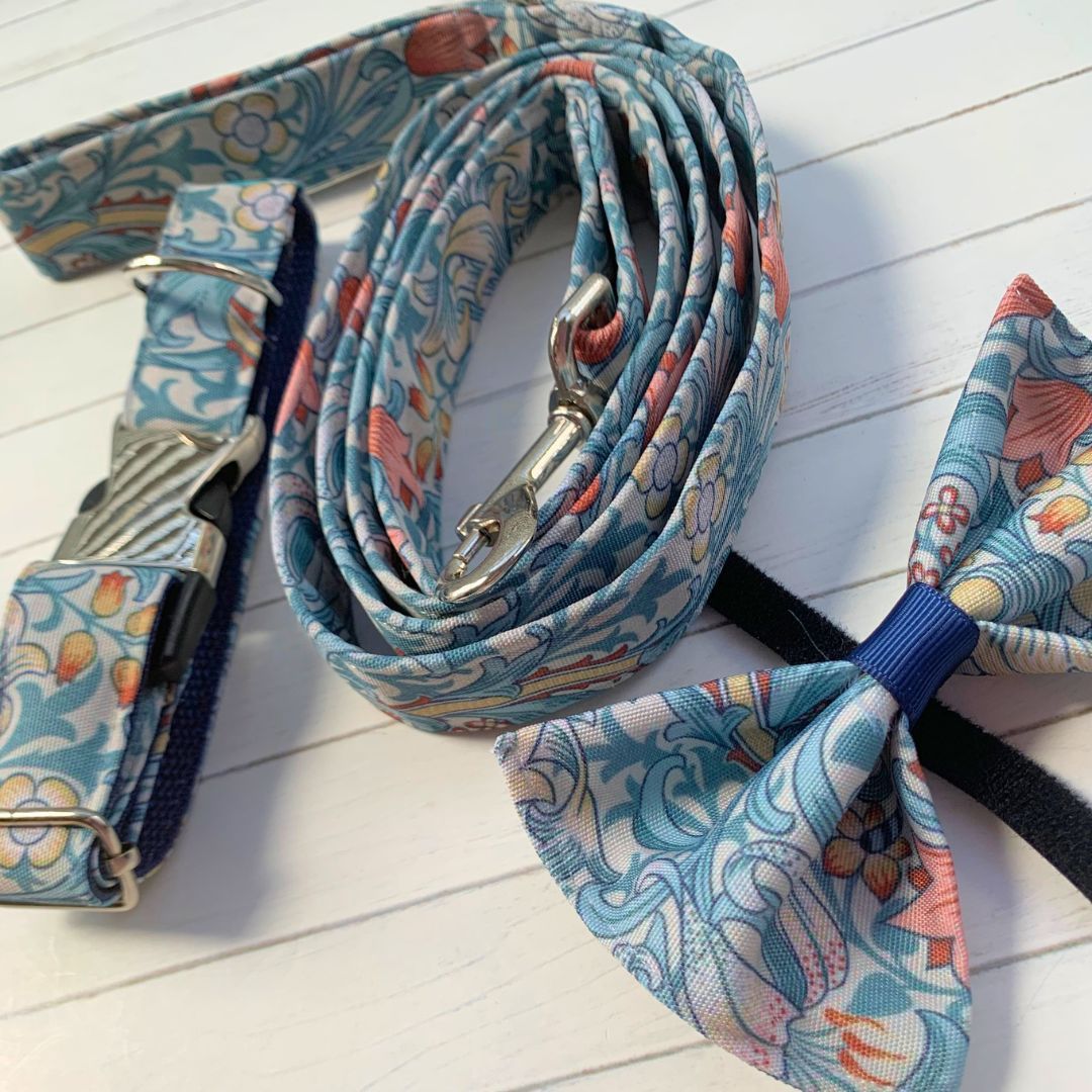 COLLAR, LEAD & BOW TIE - Golden Lily - Cornflower