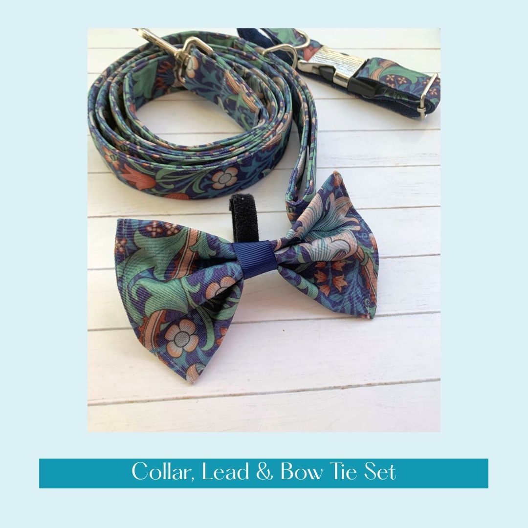 COLLAR, LEAD & BOW TIE - Golden Lily - Midnight