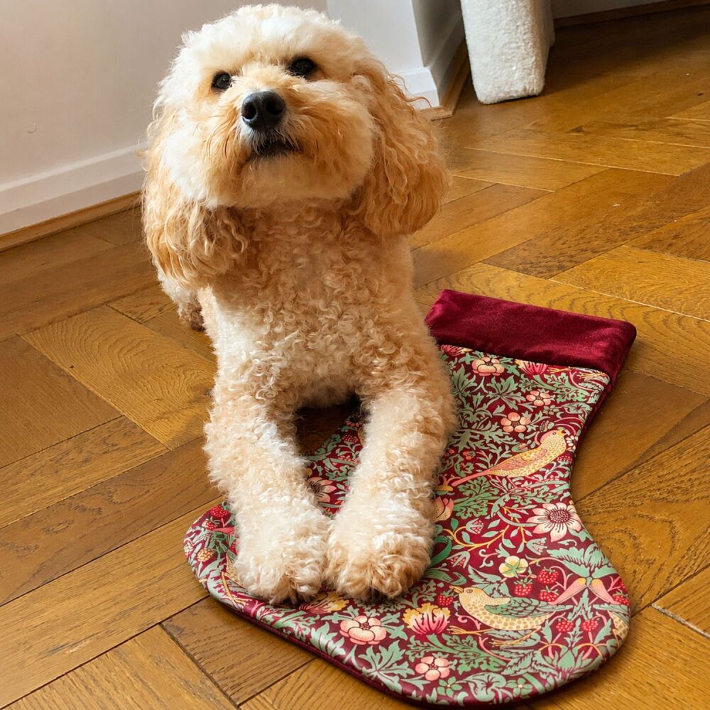 .Christmas Stocking William Morris Strawberry Thief Burgundy Velvet  | Pawdrobe HQ