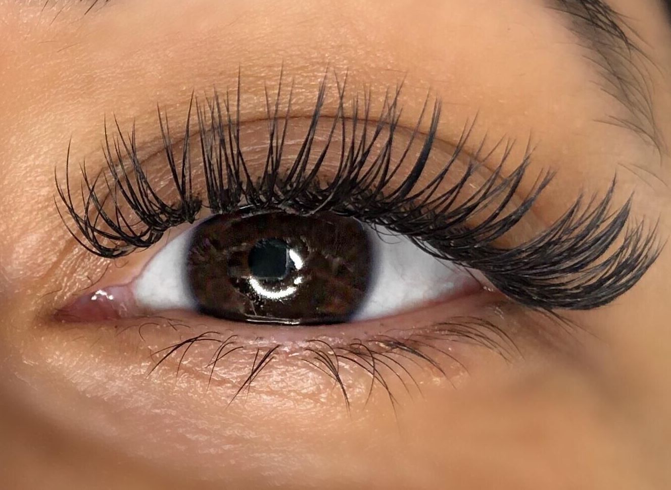 classic lashes 3