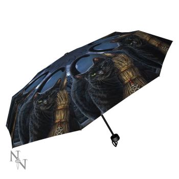 Gorgeous compact/telescopic Umbrella By Anne Stokes Lisa Parker & James Ryman 