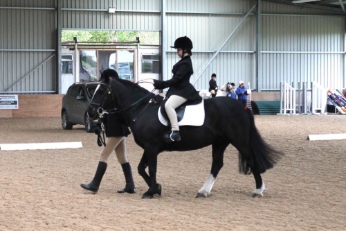 regional dressage 2