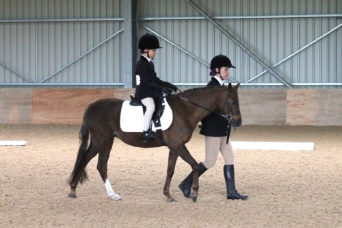 regional dressage 3