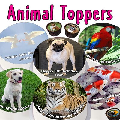 Animal Toppers