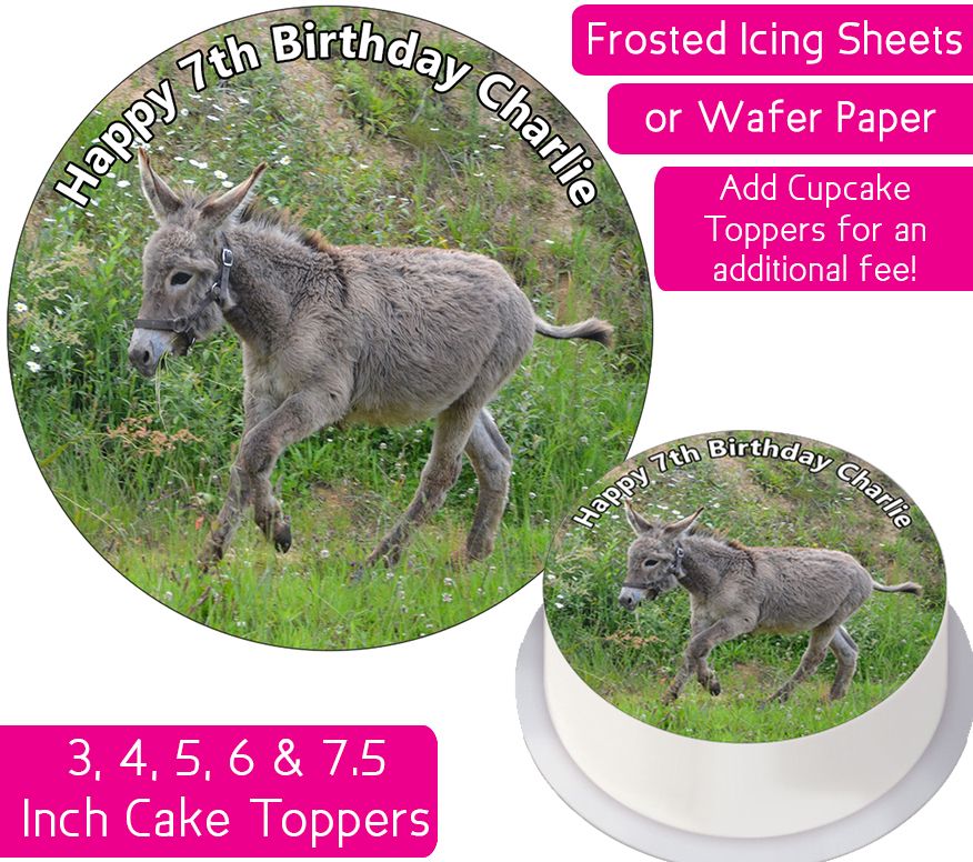Personalised Donkies Donkey Edible Icing Birthday Party Cake Topper | eBay