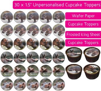 Hippo - 30 Cupcake Toppers