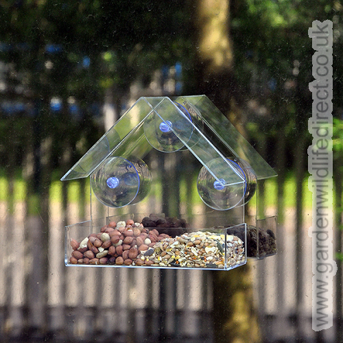 Garden Wildlife Direct have a range of window feeders