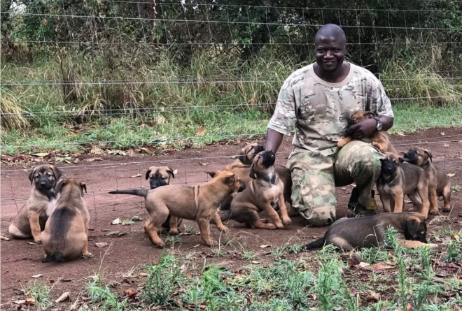 These are the latest members of the K9 anti-poaching team