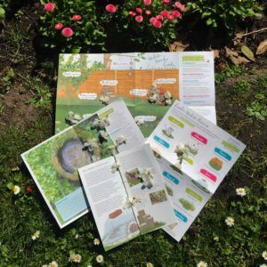 Donate to the PTES Garden Wildlife Appeal and receive this kit