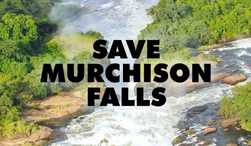 Save the Murchison Falls