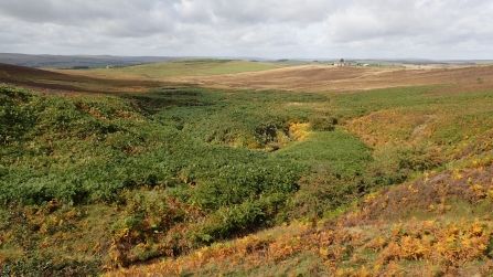 600 acres at Benshaw Moor is safe, thanks to a united effort