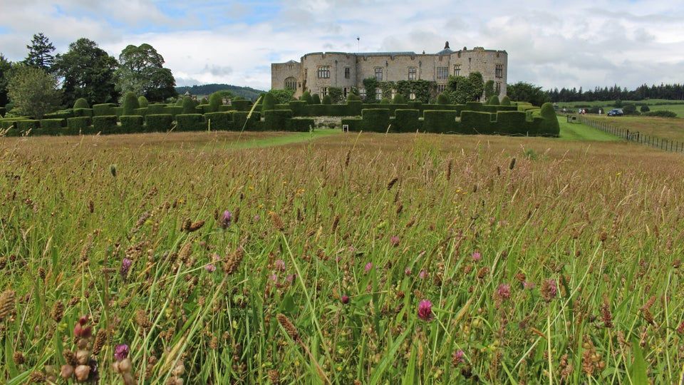 Wildflowers are blooming at Chirk Castle in Wales
