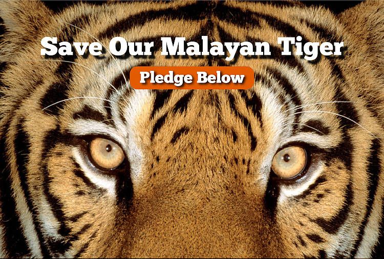 Please give your support to WWF Malaysia's Tiger Pledge