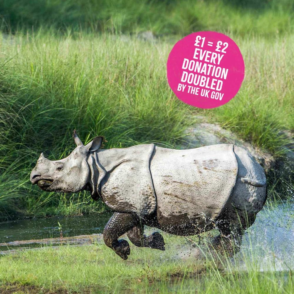 Every donation will be doubled by the UK Government up to 31 December 2019 (up to £2 mililon)