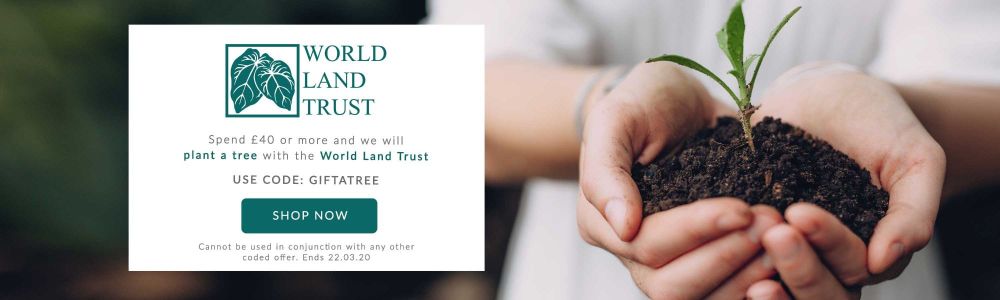 Spend £40 today on organic beauty products with Green People and they will plant a tree for you with the World Land Trust