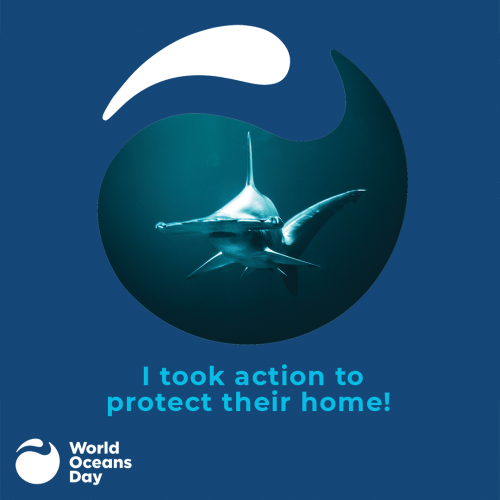 Speak up for nature - there are resources you can download from the World Ocean Day 2020 website