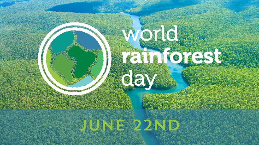 Visit the World Rainforest Day's website