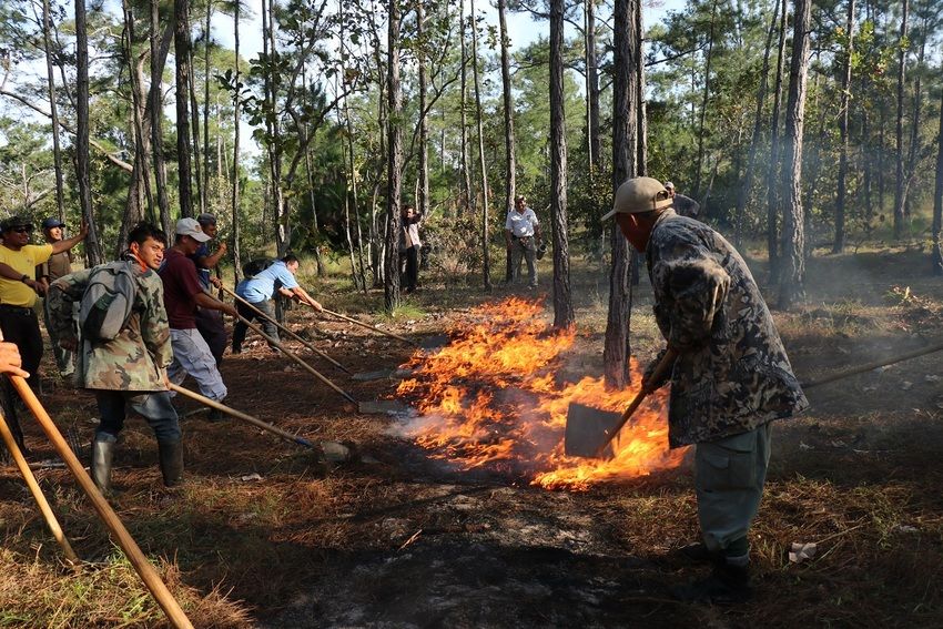 Let's give people the skills and equipment they need to respond to fire with the Fire Repsonse Fund