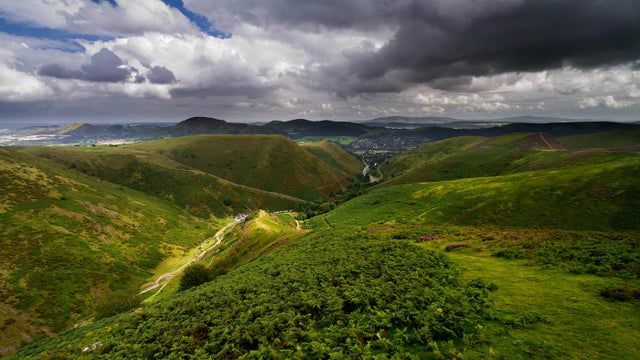 The Stepping Stones project will help wildlife