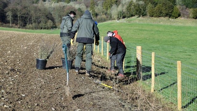 Volunteers are really making a difference to wildlife