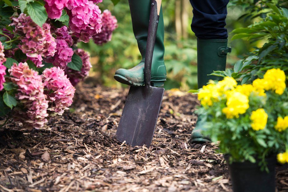 Find out more about the different benefits gardening can bring