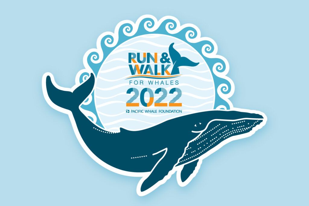 Run and Walk for Whales 2022 - Find out more!