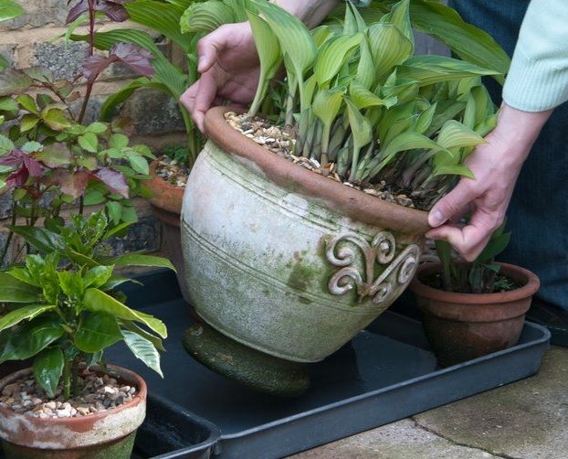 You can place drip-trays beneath pots to collect drainage