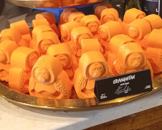 Buy an Orangutan BATH BOMB and help Protect, rewild and regenerate West Toba Forest  From £4.00