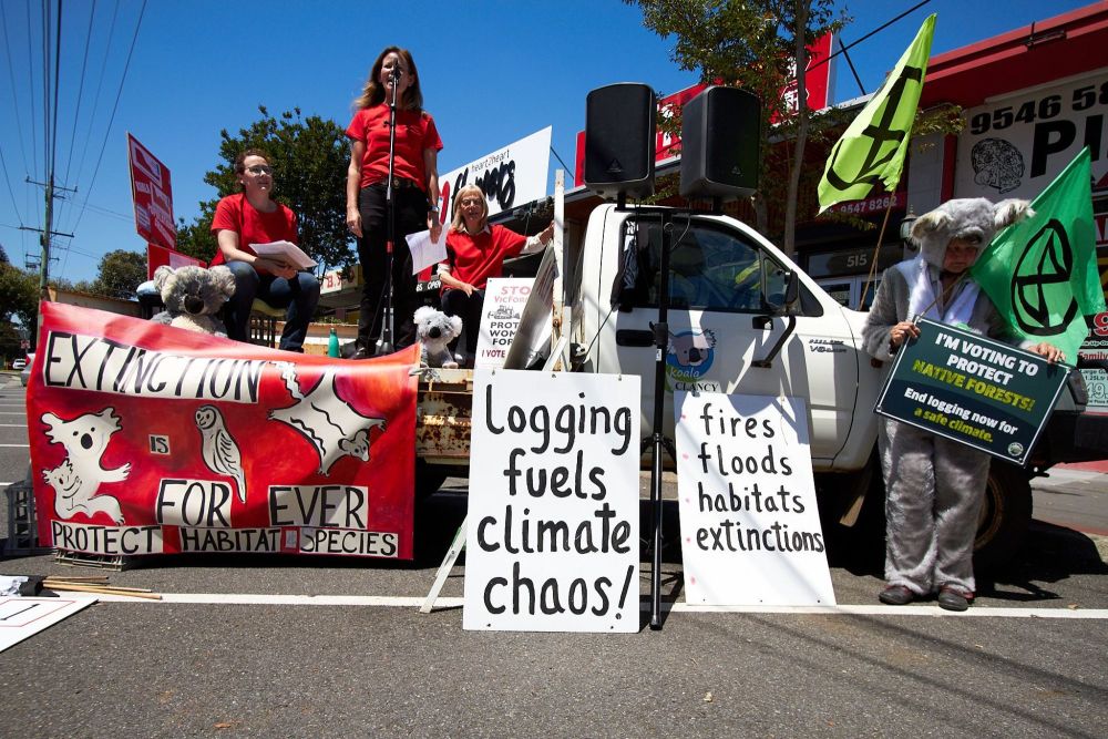 The Koala Leaders Unite rally was held just before the election in Victoria, Australia