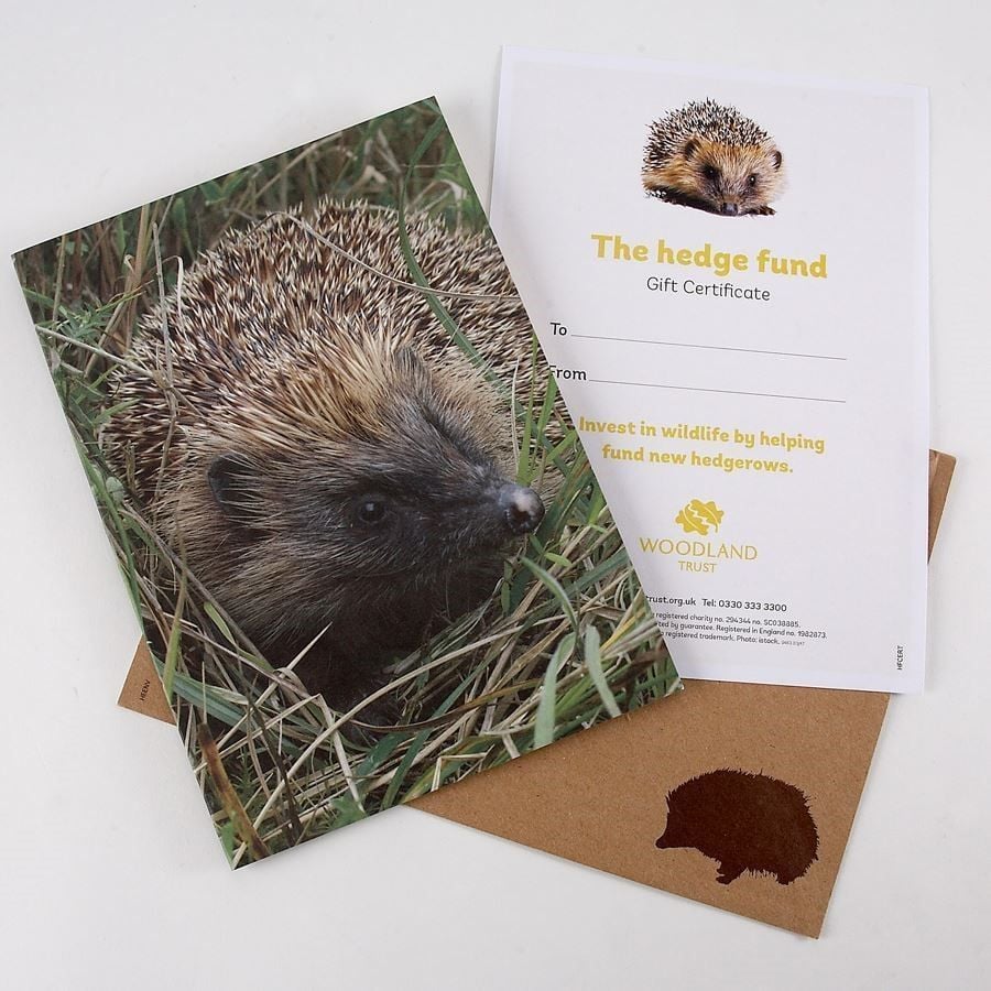 You could give a nature loving friend a virtual gift with the Woodland Trust's Hedge Fund