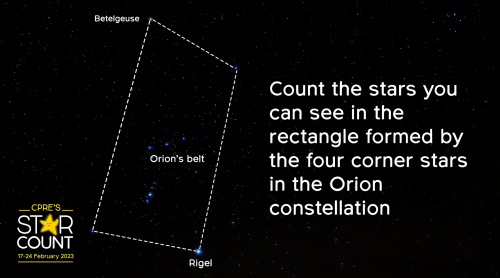 Count the stars and let CPRE the Countryside charity know the results