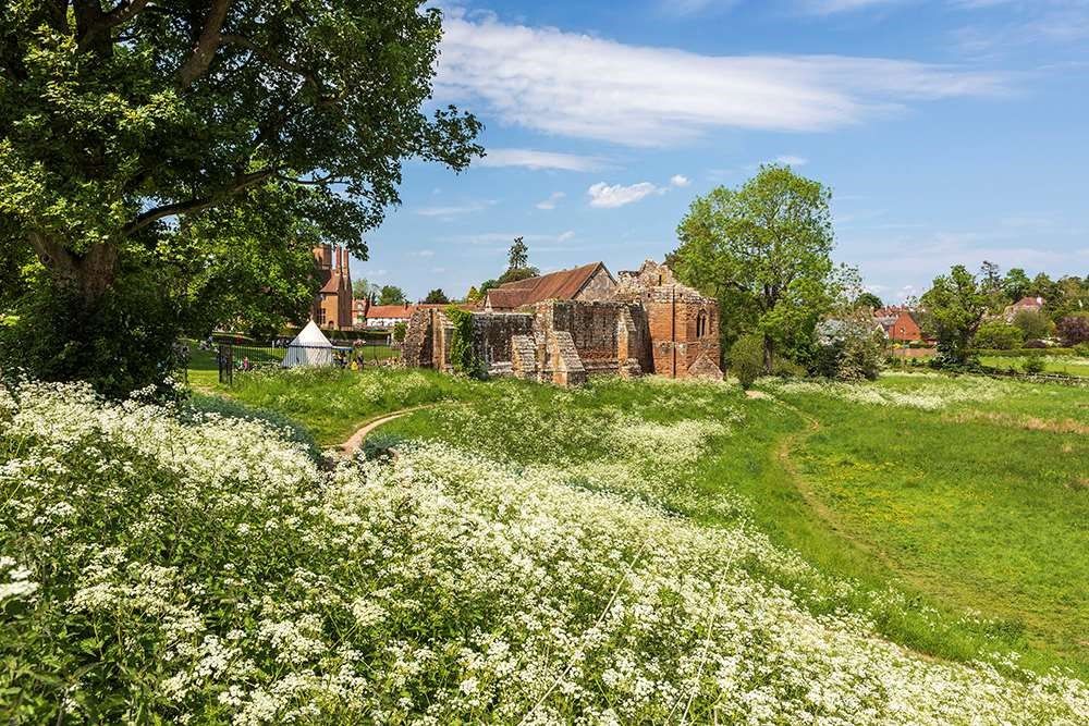 100 sites will have meadows restored or enhanced!