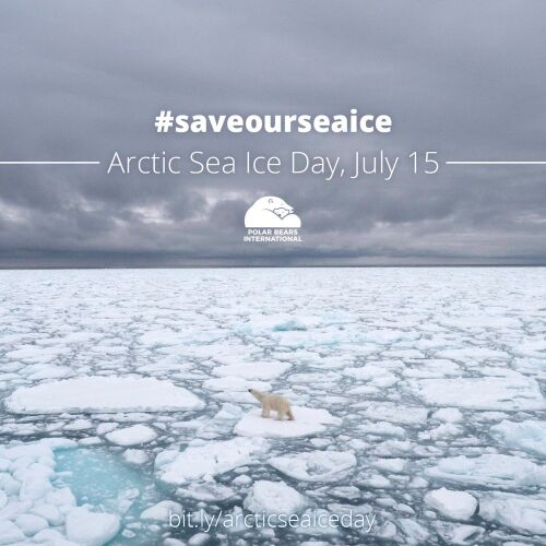 Arctic Sea Ice Day is on 15th July 
