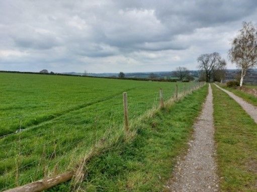 The Derbyshire Wildlife Trust want to re-wild 83 acres, creating vibrant habitat for wildlife