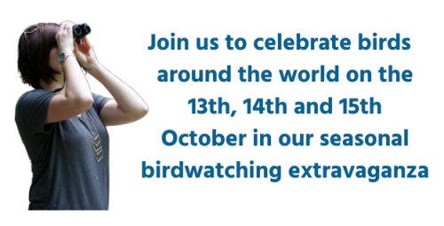 Join BirdLife International on the 13th, 14th and 15th October 2023